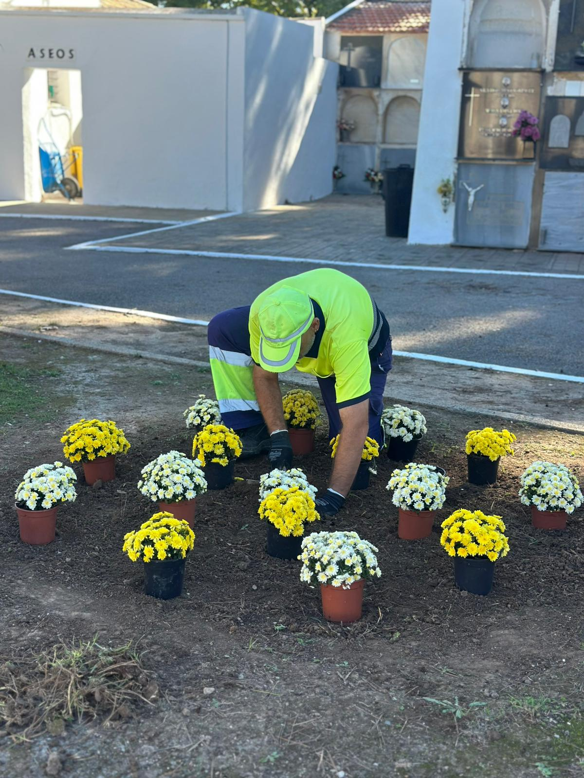 Workers planting seasonal flowers at Torrevieja municipal cemetery