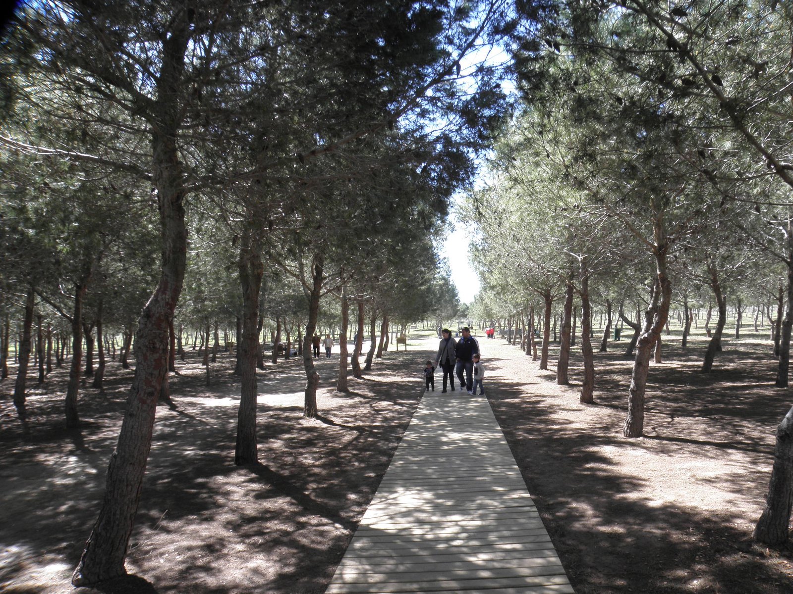 Wide view of the José Eduardo Gil Rebollo Municipal Recreational Area in Torrevieja, popular camping spot during Holy Week