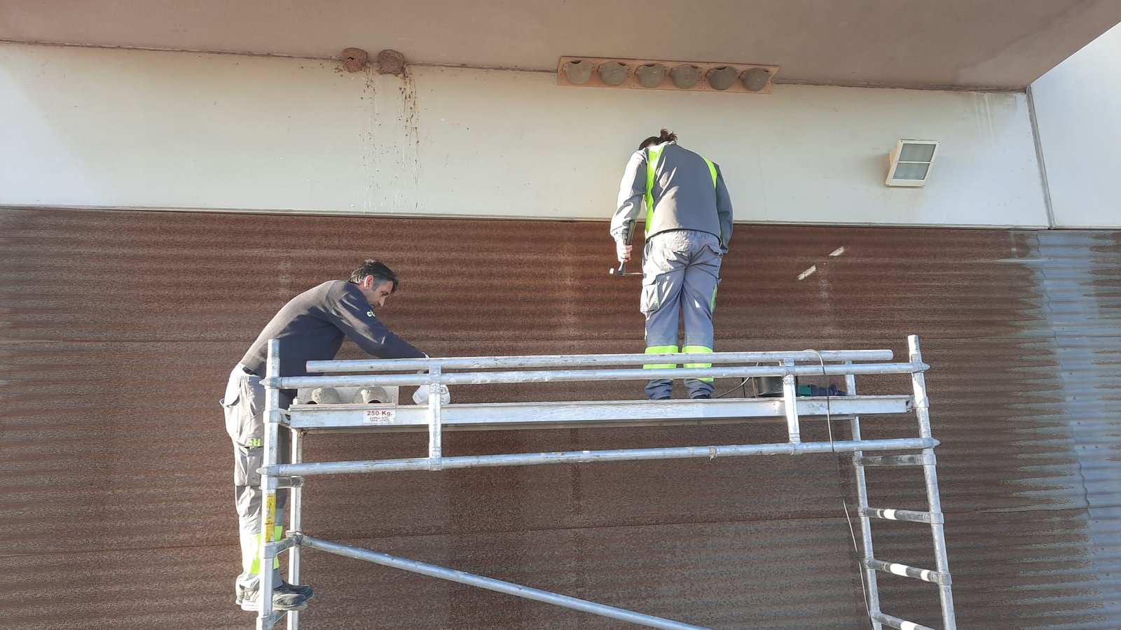 Installation of artificial house martin nests on the facade of Torrevieja University Hospital