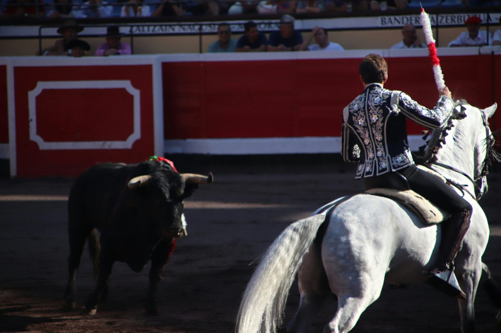 Bullfighter